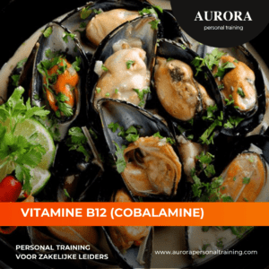 Het-belang-van-Vitamine-B12